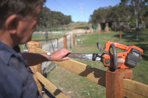 Working with Chainsaws - a Beginners Guide